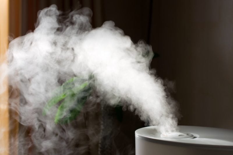 Steam humidifier, Four Ways To Improve Your Home's Air Quality | Comfortable Design | PA