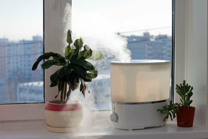 5 Ways to Improve Your Indoor Air Quality. Image shows a plant and humidifier on a windowsill.